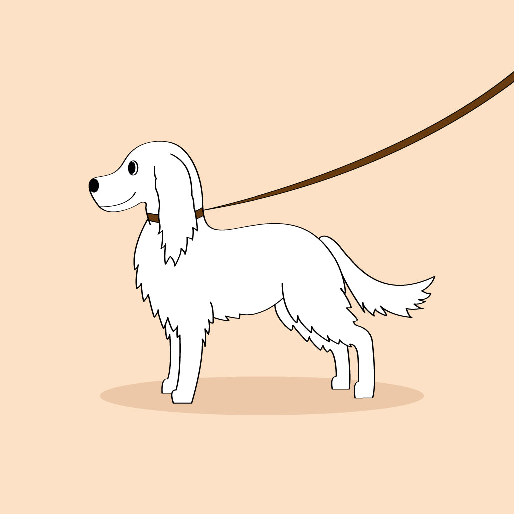 health benefits of walking your dog