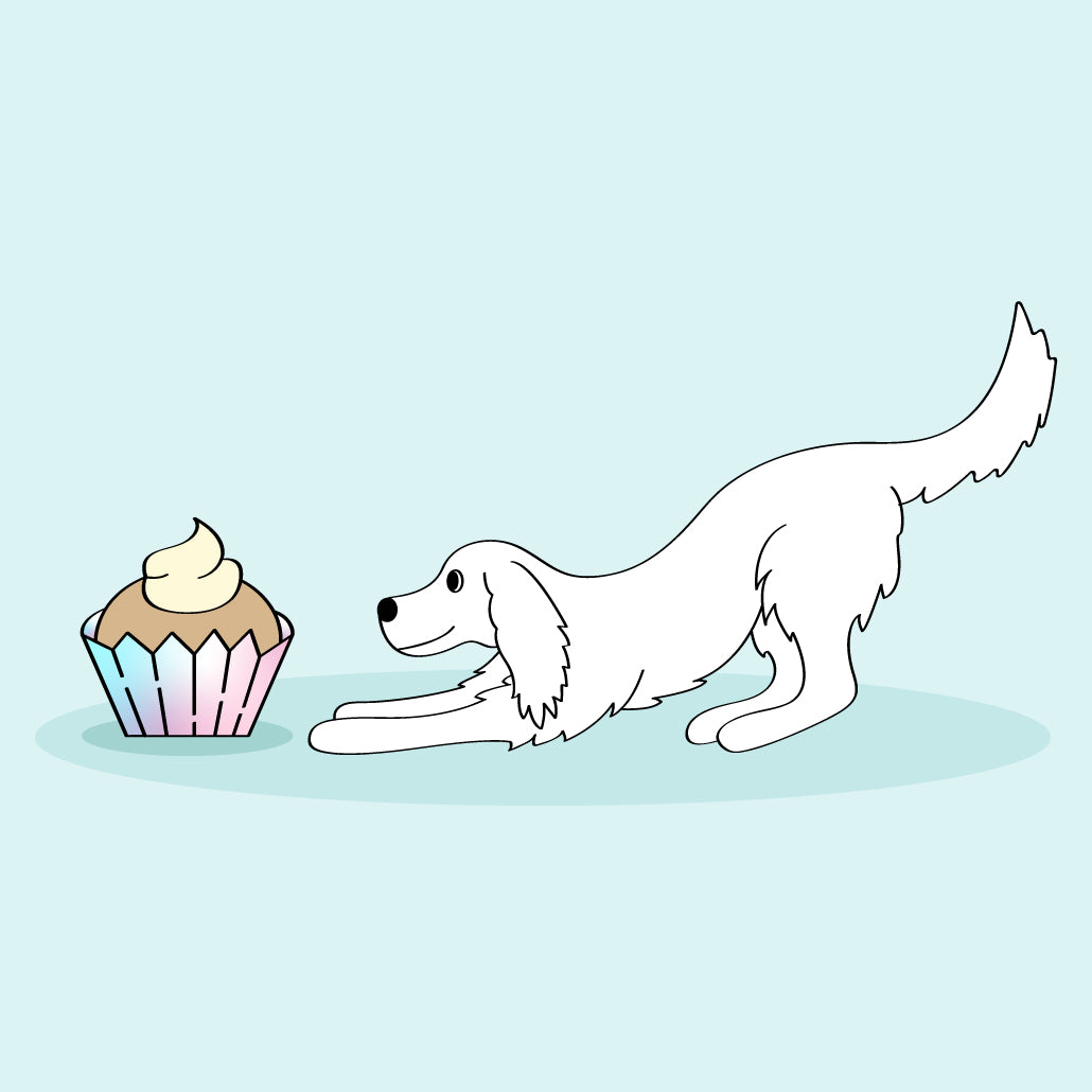 how to make dog birthday cakes