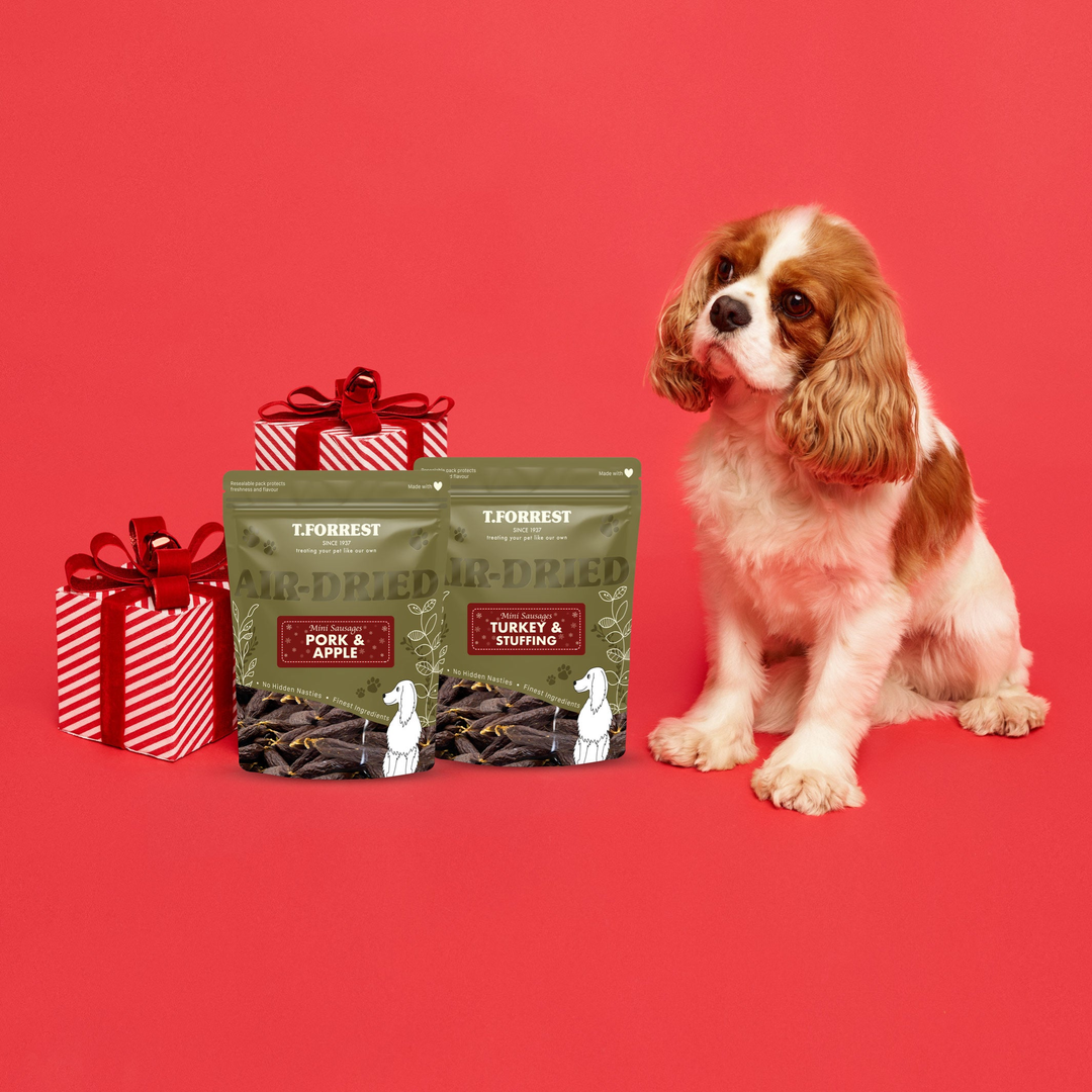 T Forrest Christmas dog treats