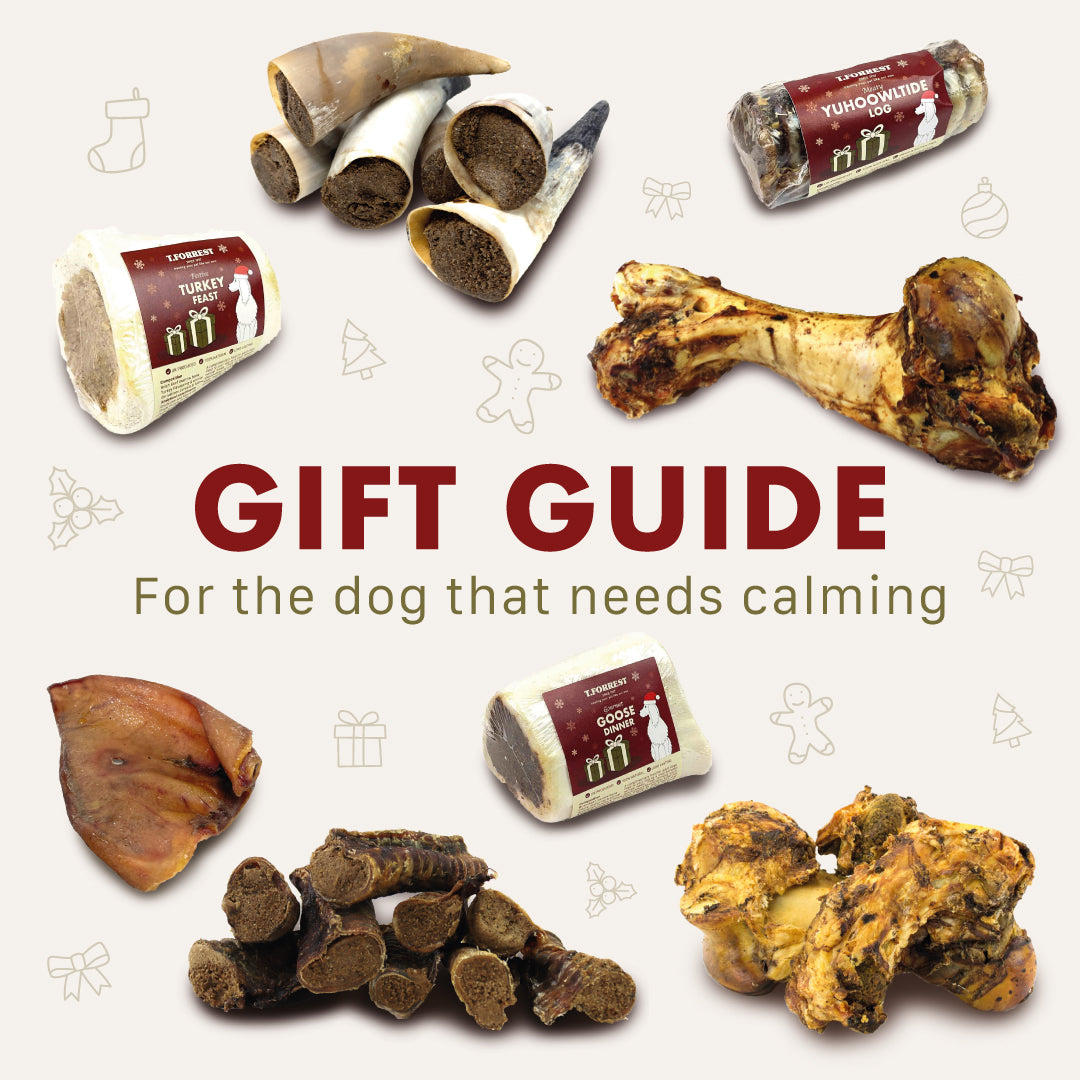 calming dog treats gift guide
