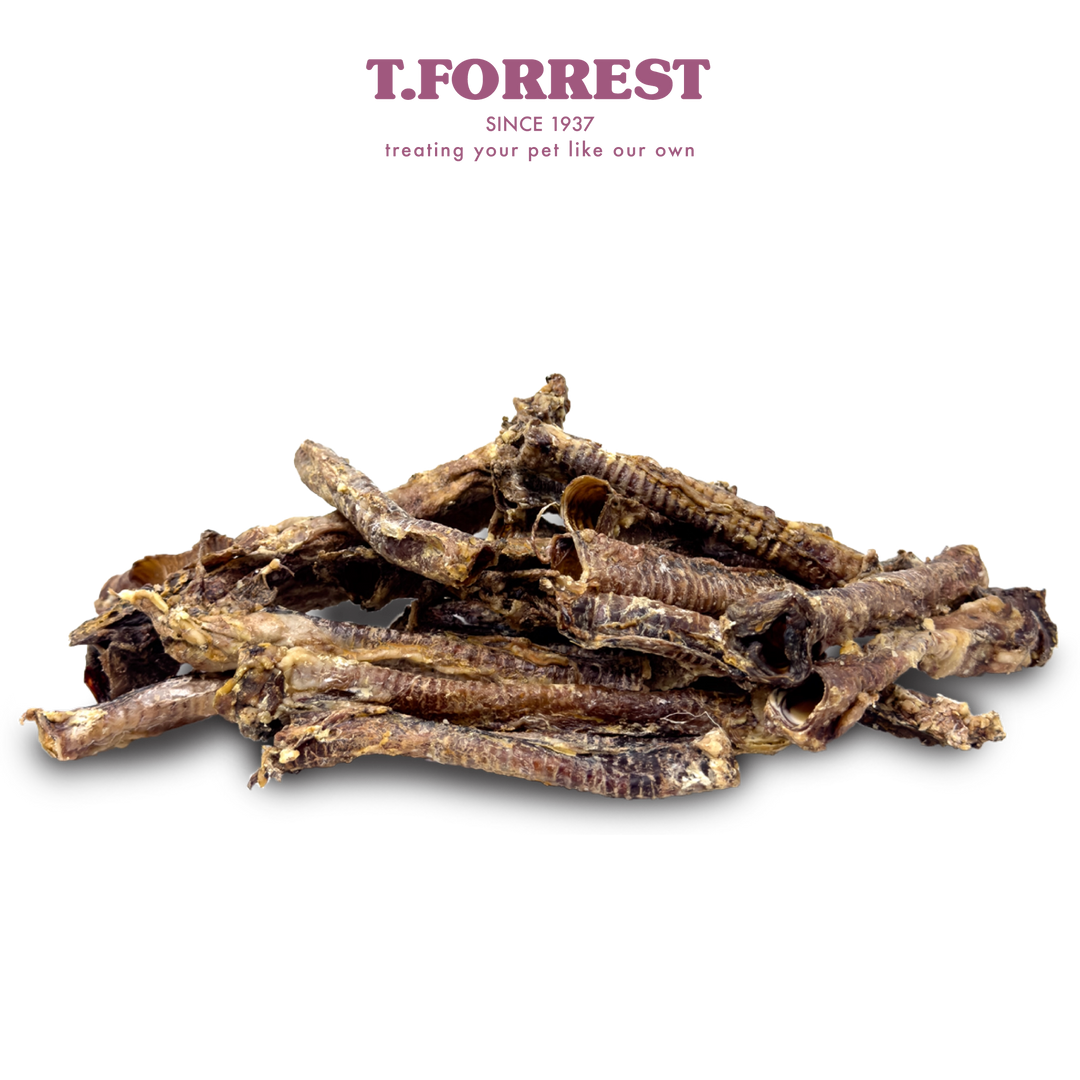lamb Trachea Bulk