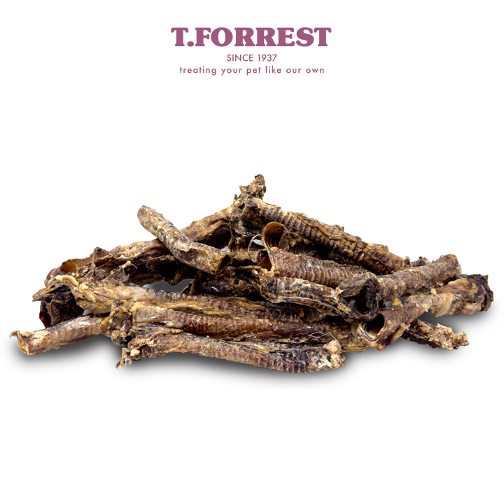 lamb Trachea Bulk