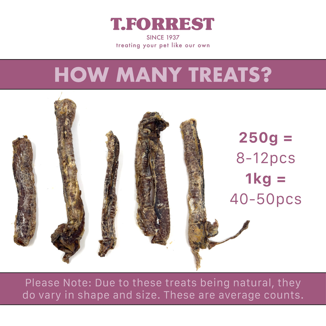 Lamb Trachea Size Variaiton