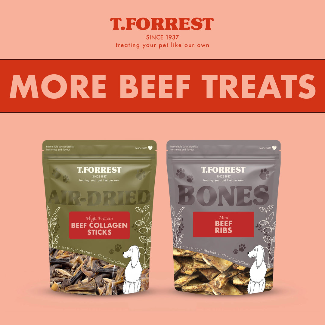 other beef dog treats