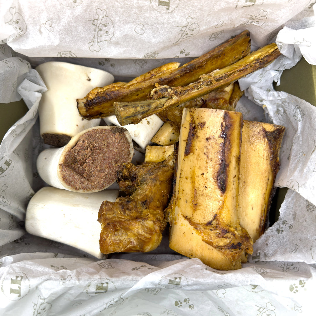 The Bruno Box bone selection box for dogs