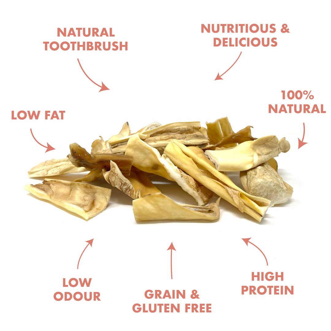 benefits of chewy beef sticks for dogs