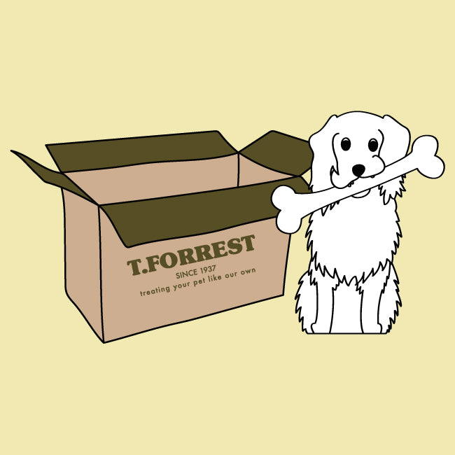 choose your dogs treats