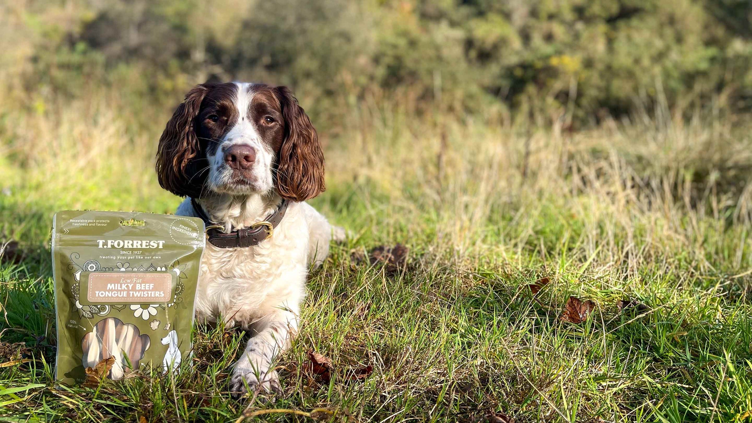 natural dog treats