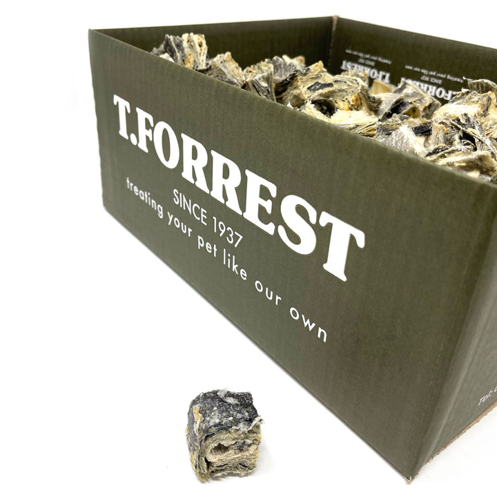 t forrest fish cubes