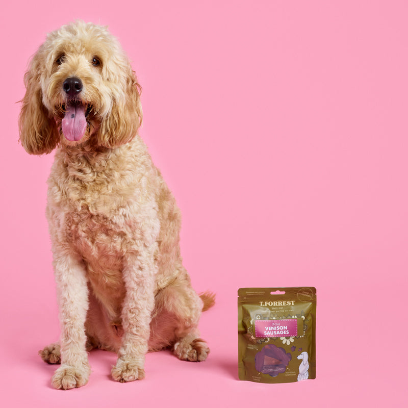 t forrest natural treats for dogs
