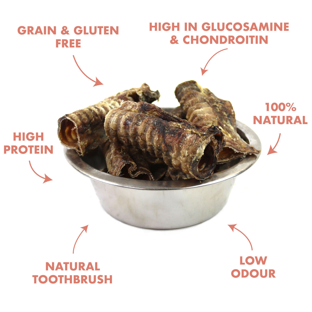 benefits of feeding your dog trachea