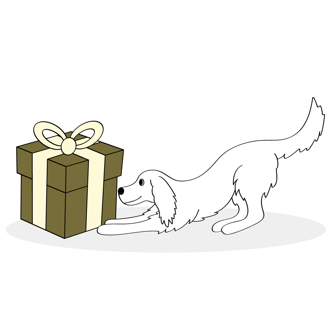 t forrest gift voucher natural dog treats