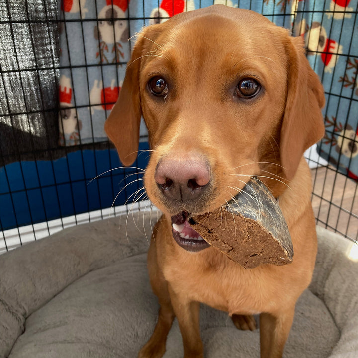 meaty hoof dog treat