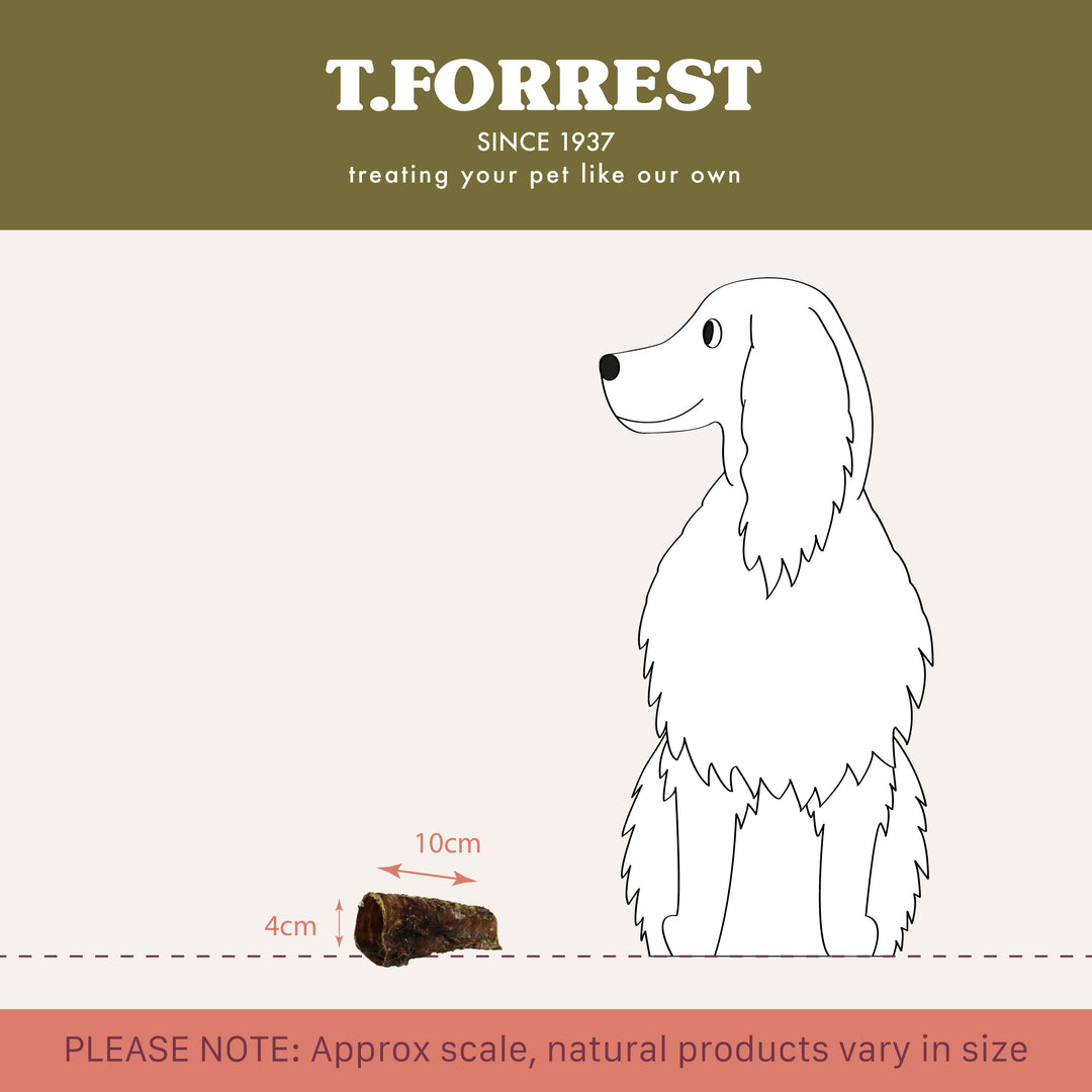 t forrest dried beef trachea size