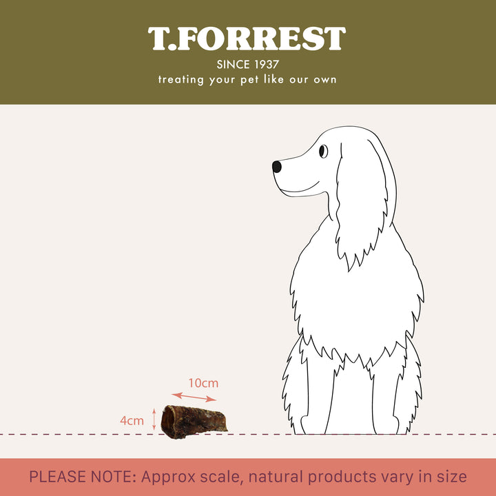 t forrest dried beef trachea size