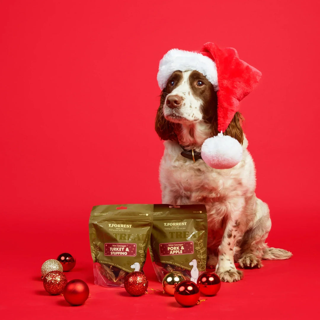 What to include in your dog’s Christmas dinner
