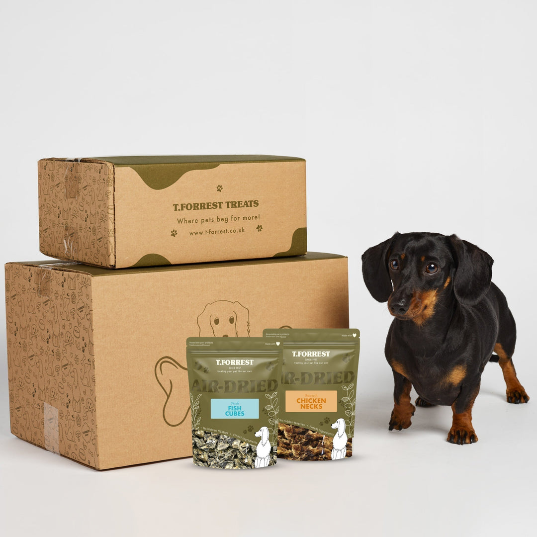 Natural Dog Treats vs Processed