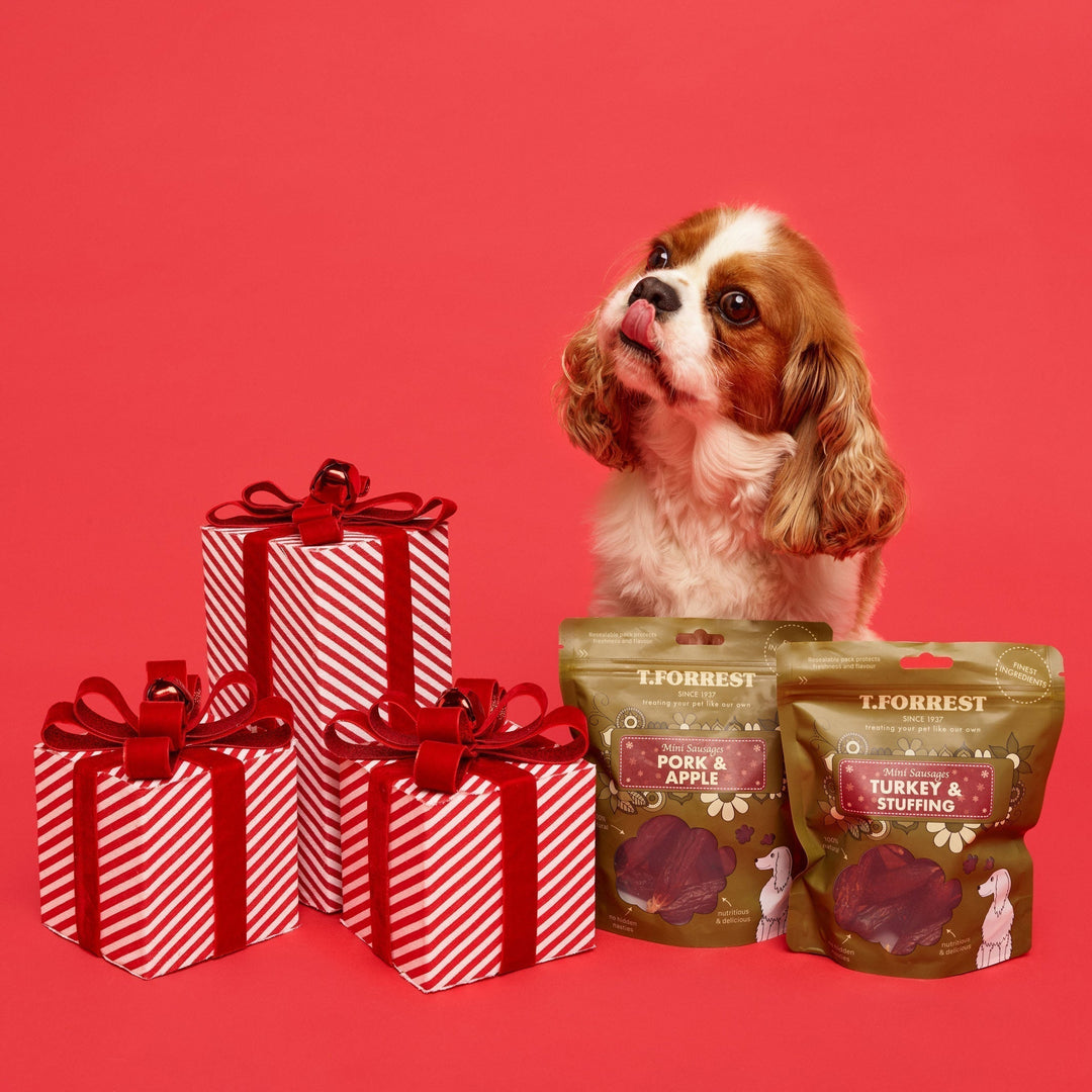 Top Christmas Gift Ideas for Dogs in 2025