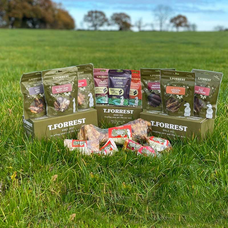 What is hypoallergenic dog food?