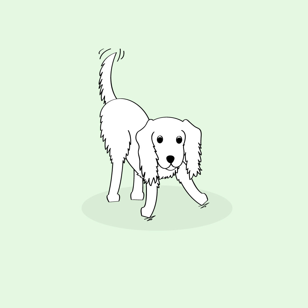 life hack owners for dogs