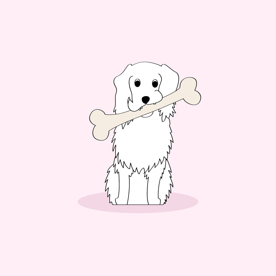 Why Do Dogs Like Bones?