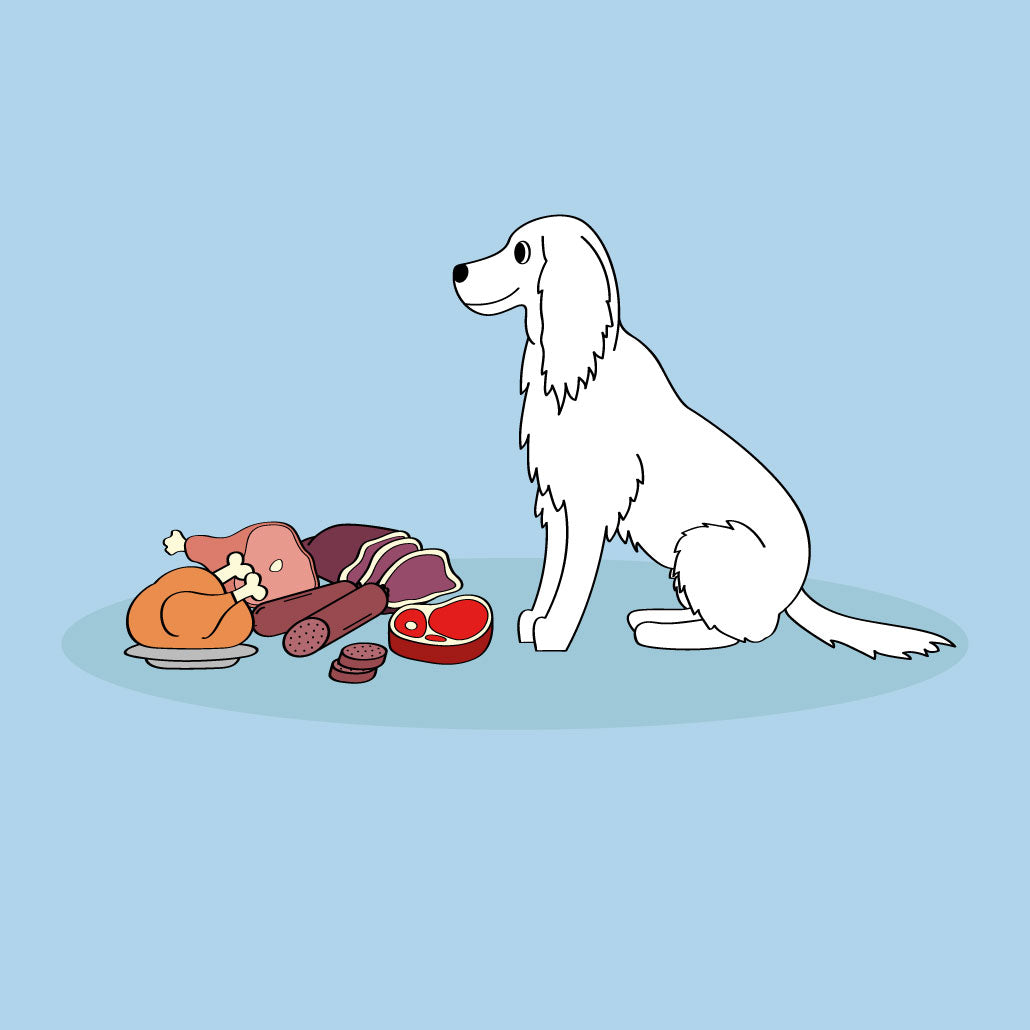 benefits of feeding your dog natural chews