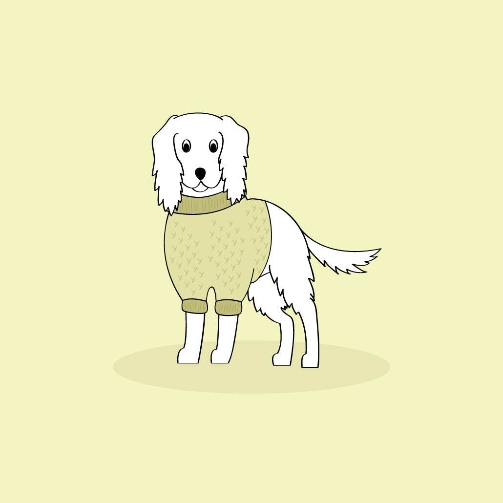 protect your dogs through the winter months