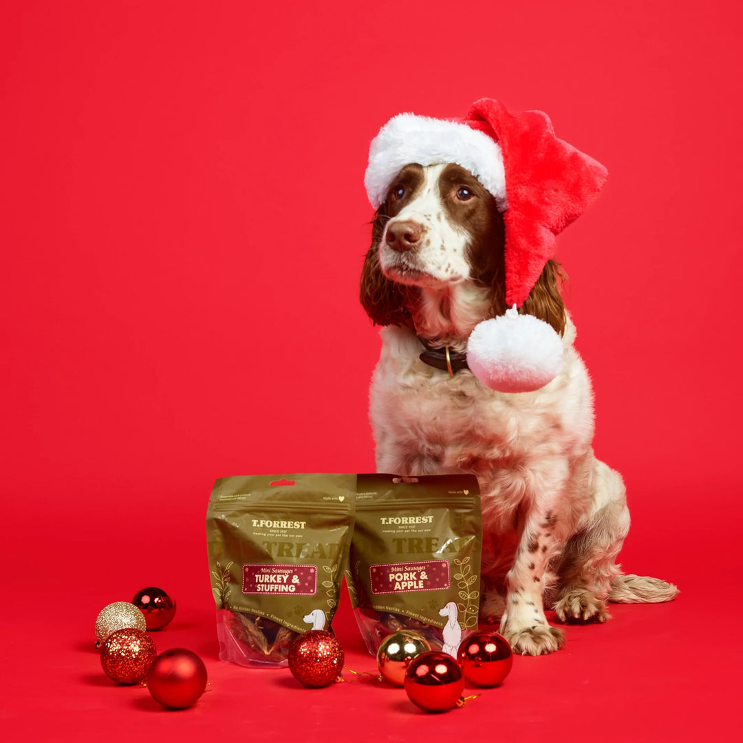Dog Stocking Fillers