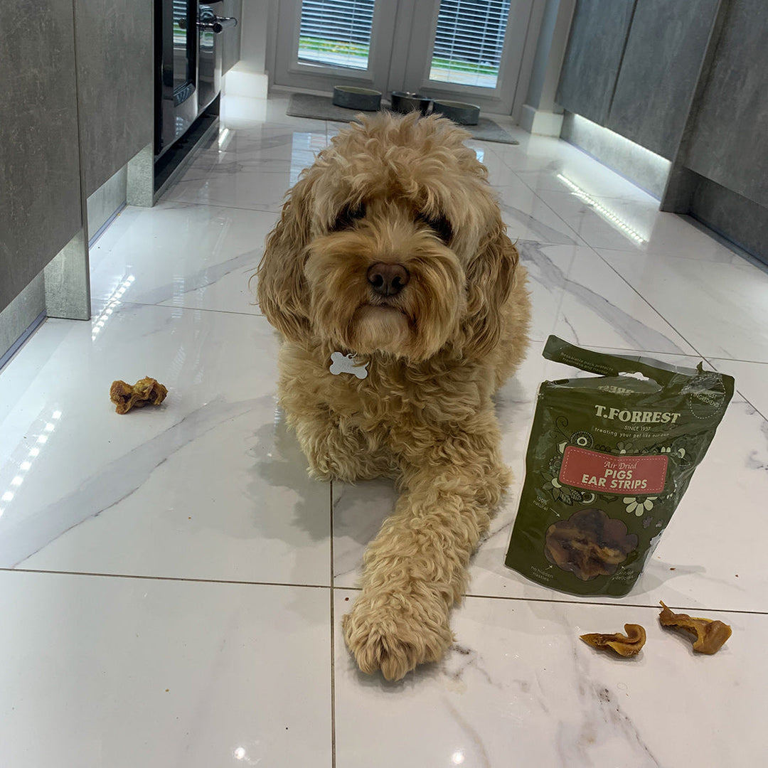 Treats For Cockapoos