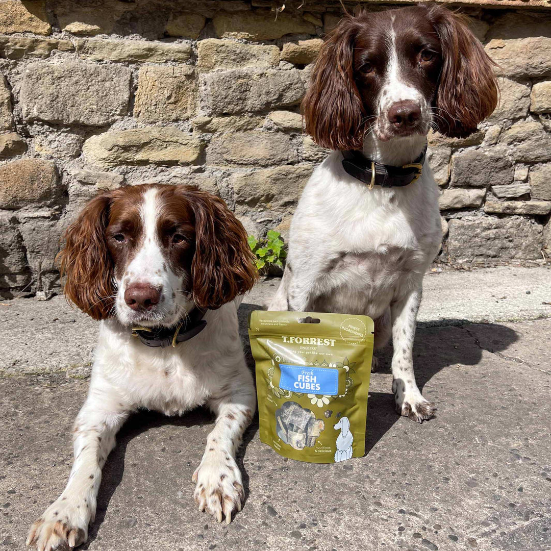 Shop By Dog Breed