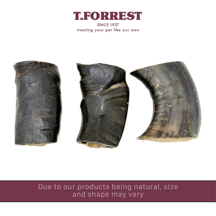 Buffalo Filled Horn Section Size Variation
