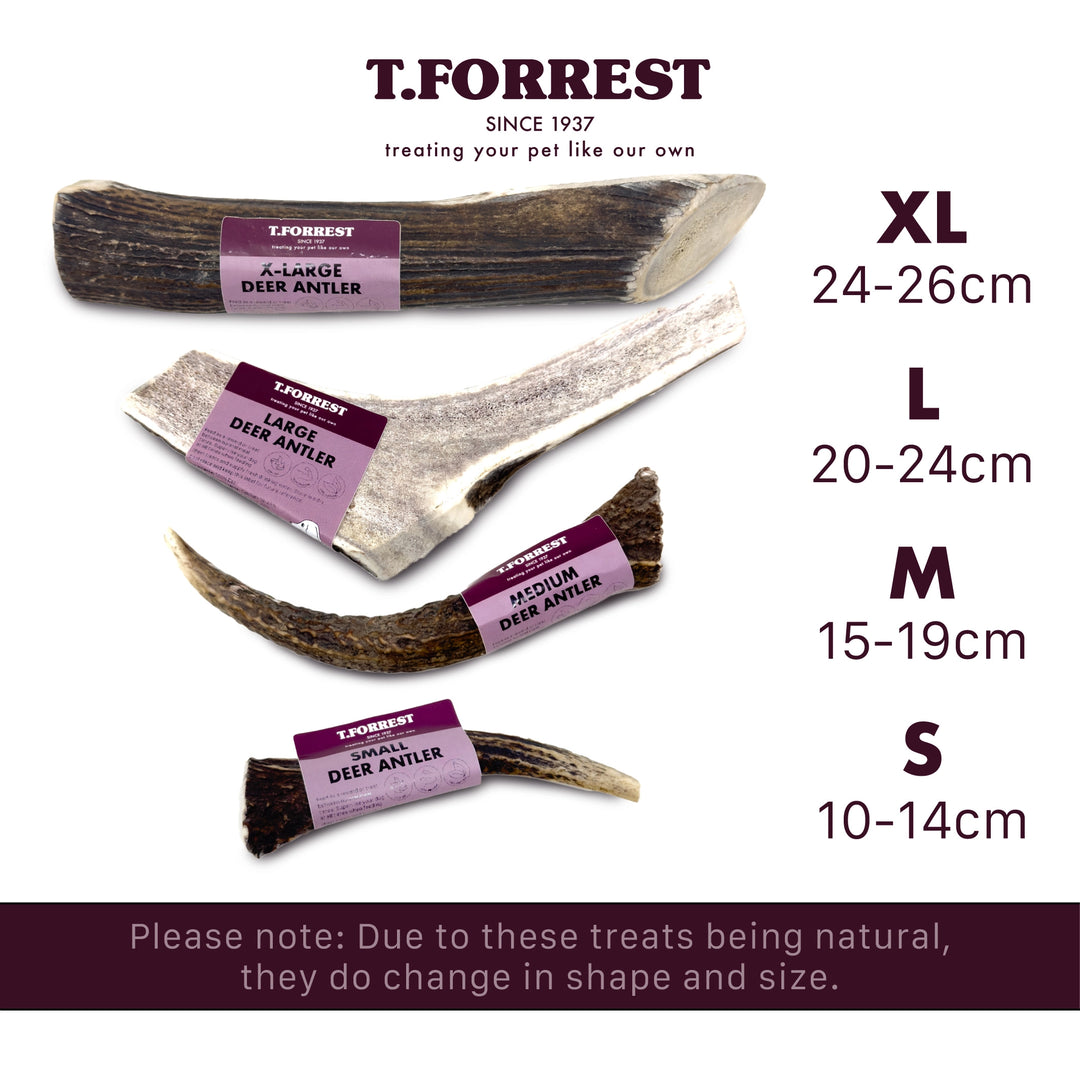 Deer Antlers Sizes