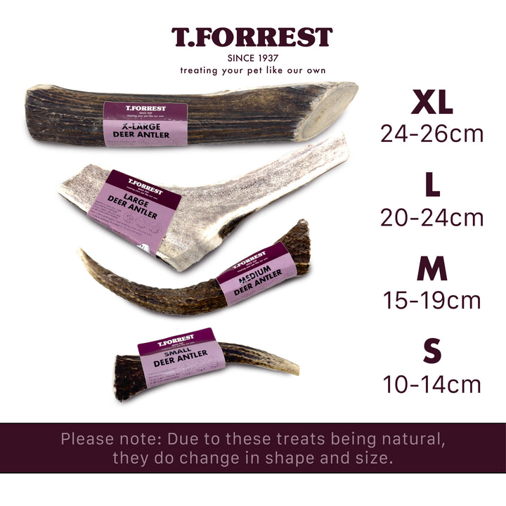 Deer Antlers Sizes