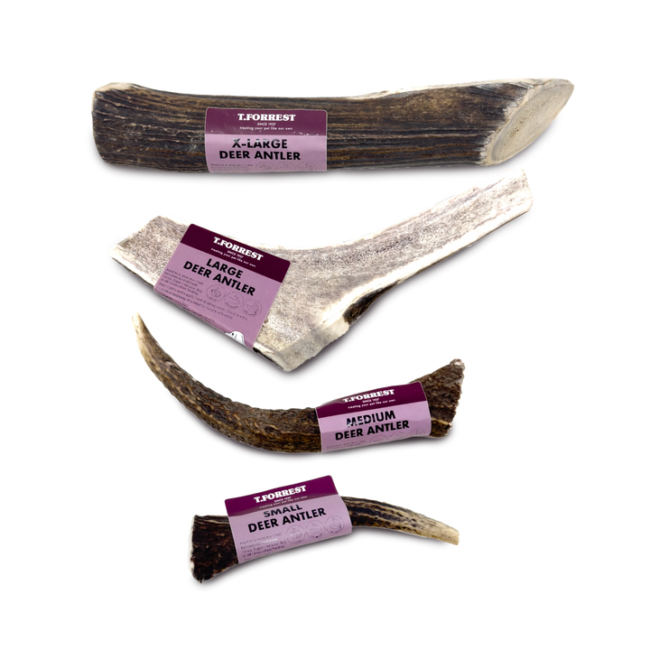 Deer Antlers for dogs