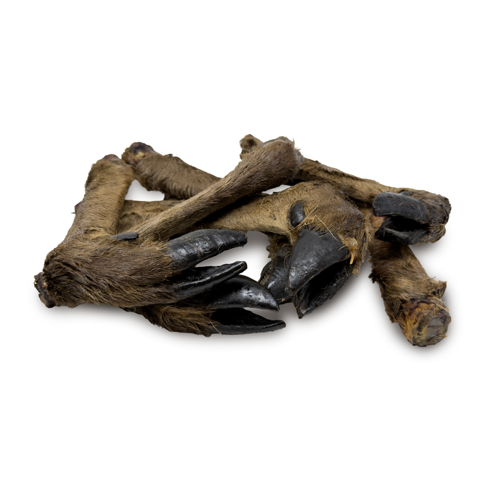 Dried deer legs for dogs on white background