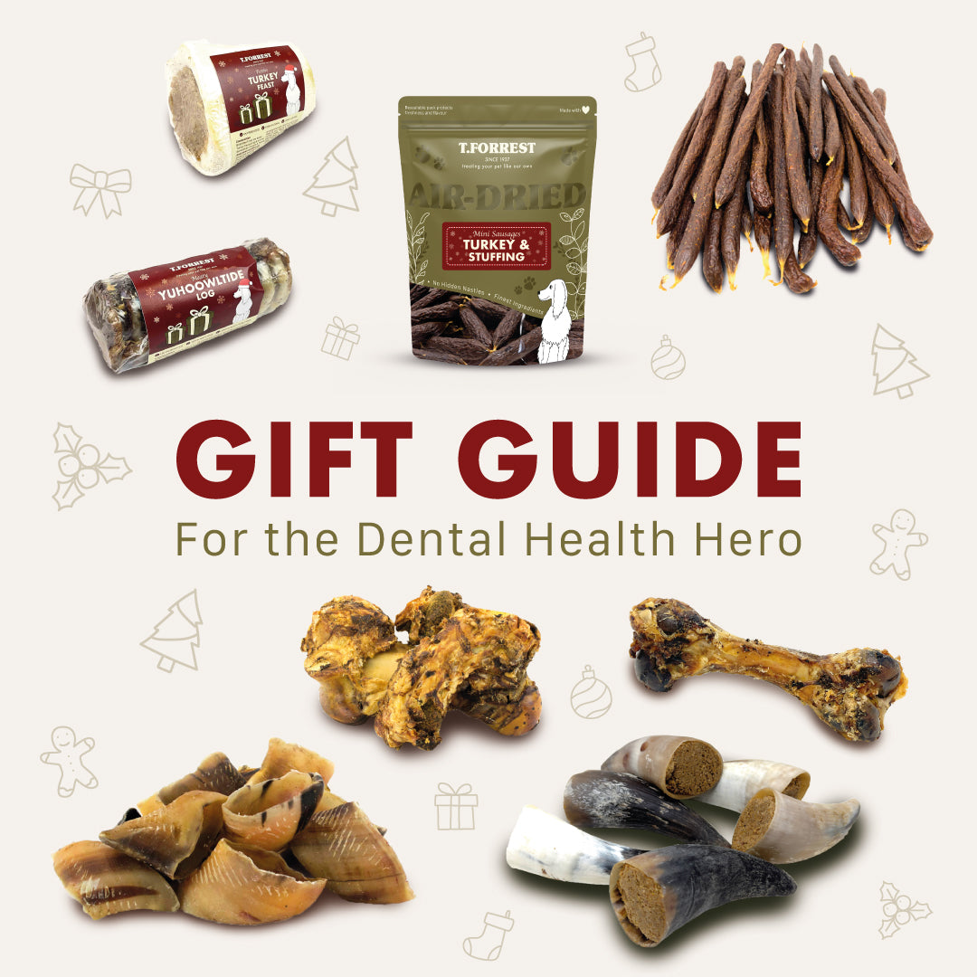 Gift Guide for the Dental Health hero