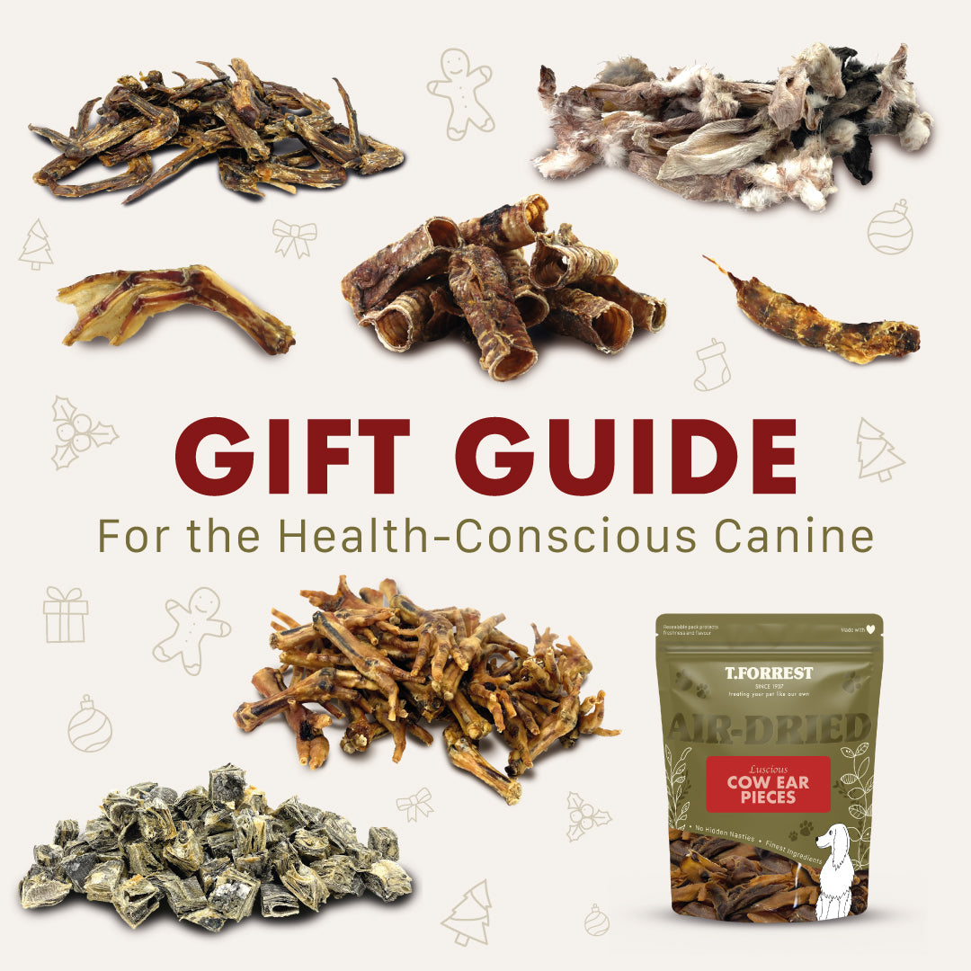dog gift guide for the health-conscious canine
