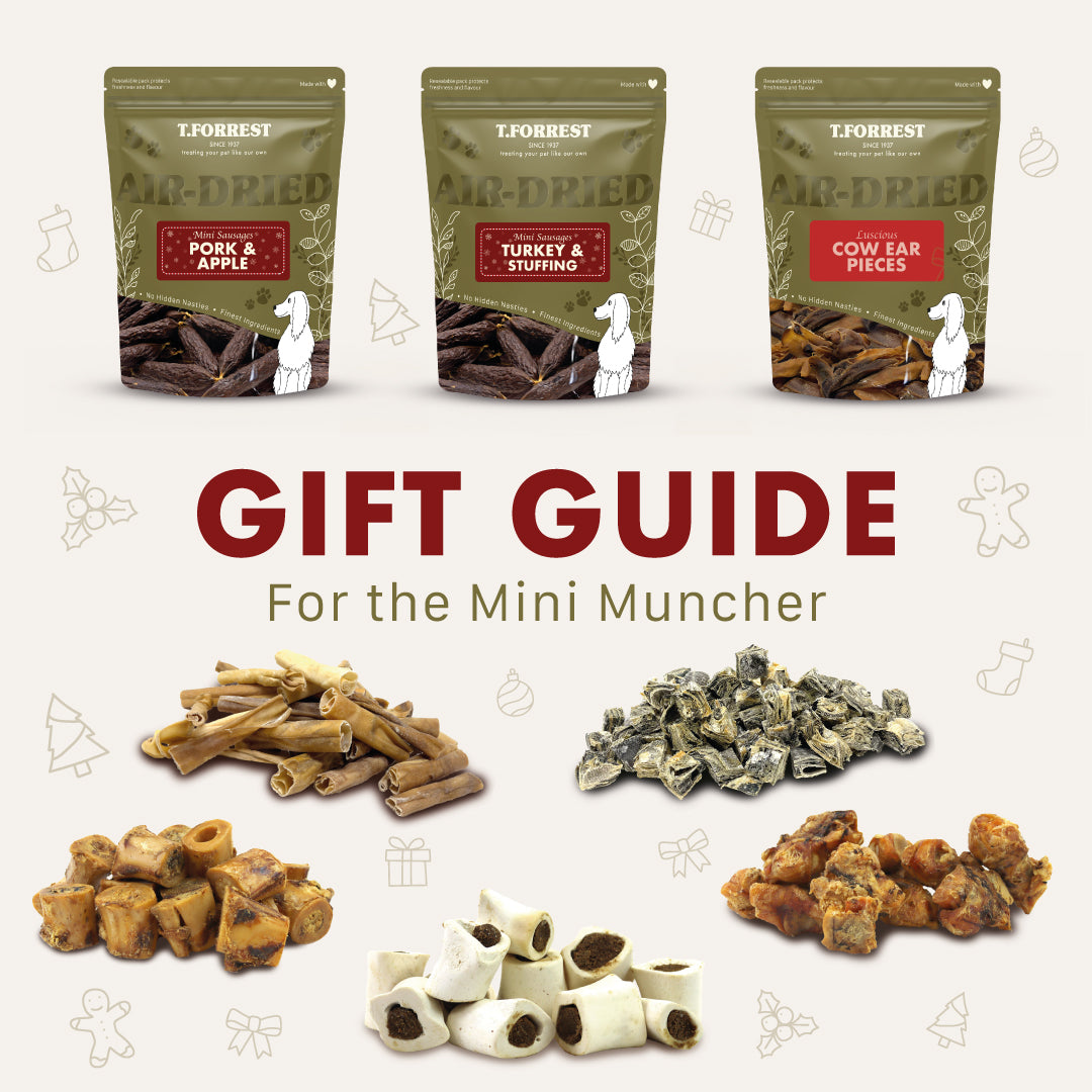 Dog christmas gift guide for mini dog treats