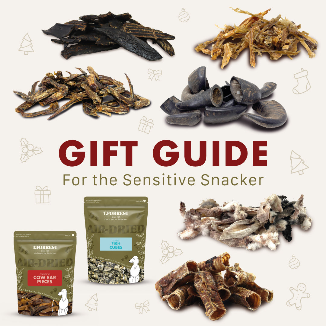 Gift guide for the sensitive snacker