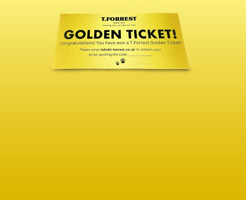 T Forrest Golden Ticket