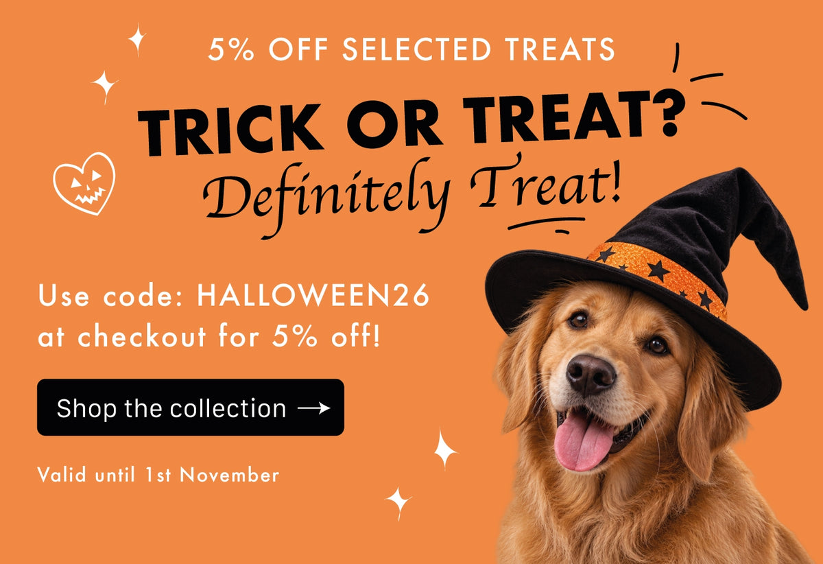 Promotional graphic for pet treats featuring a golden retriever wearing a black witch hat with an orange band against an orange background with Halloween-themed text and a 'Shop the collection' button.