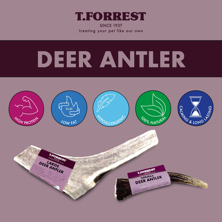 Health Benefits of Antlers