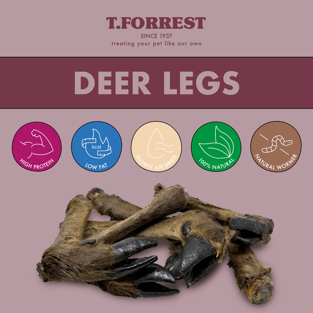 Deer Legs