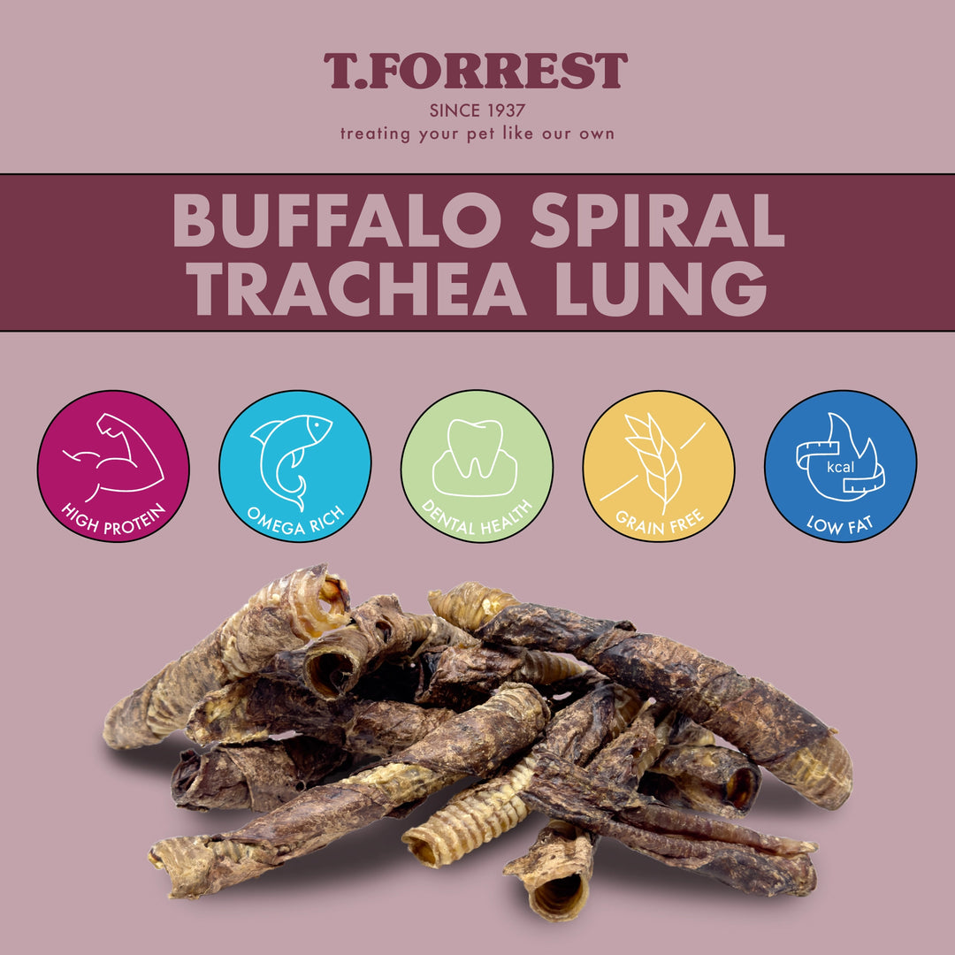 Health Benefits of Spiral Trachea Lung