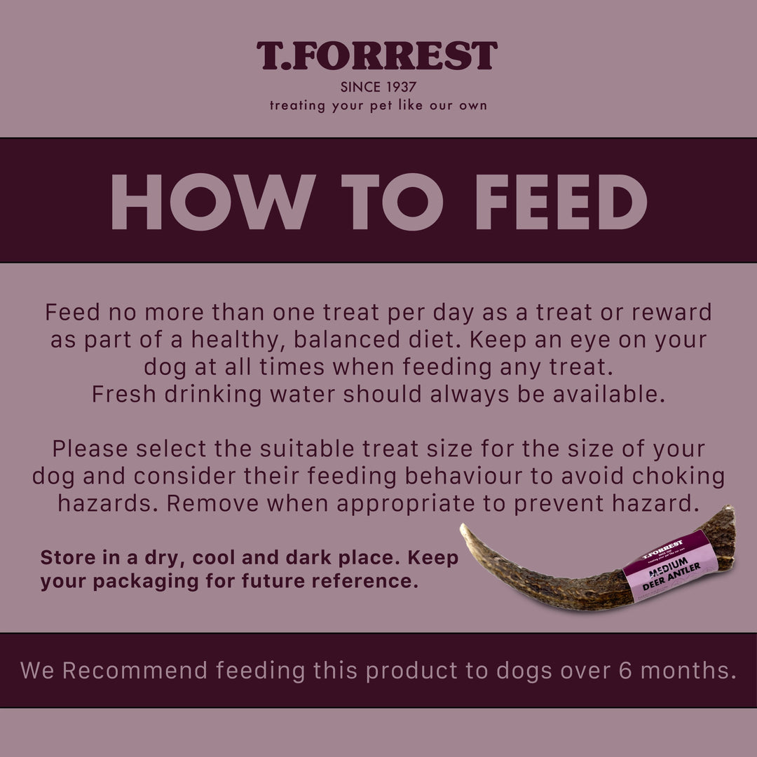 How To Feed Deer Antlers
