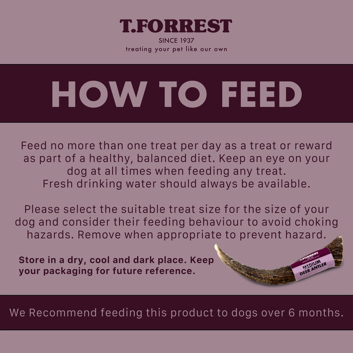How To Feed Deer Antlers