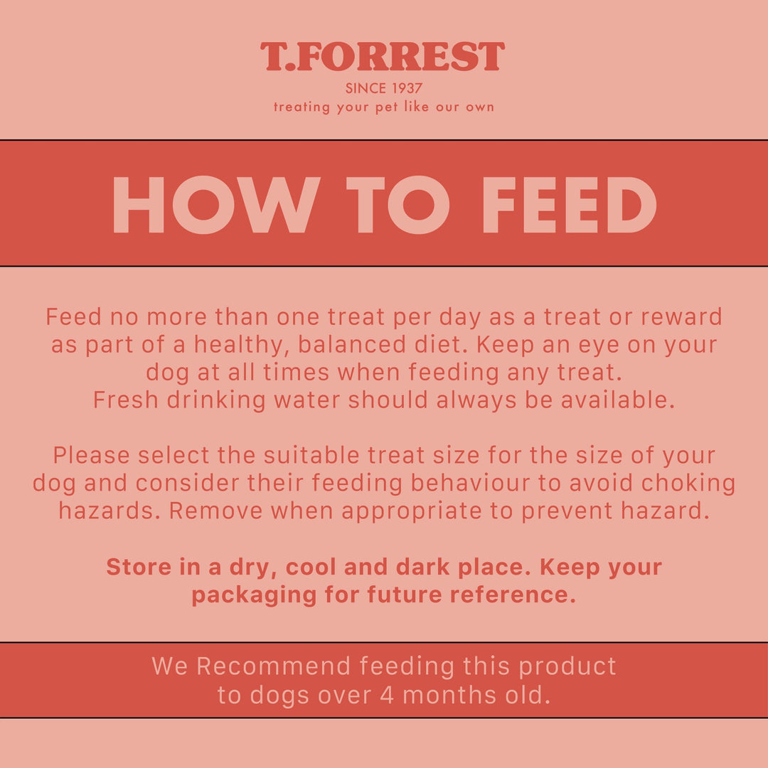 How to feed your dog t forrest pig snouts