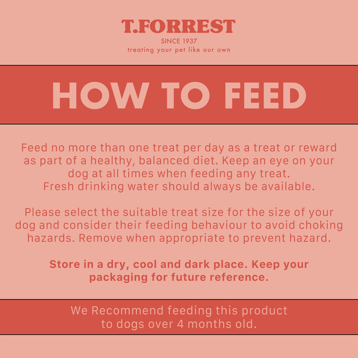 How to feed your dog t forrest pig snouts