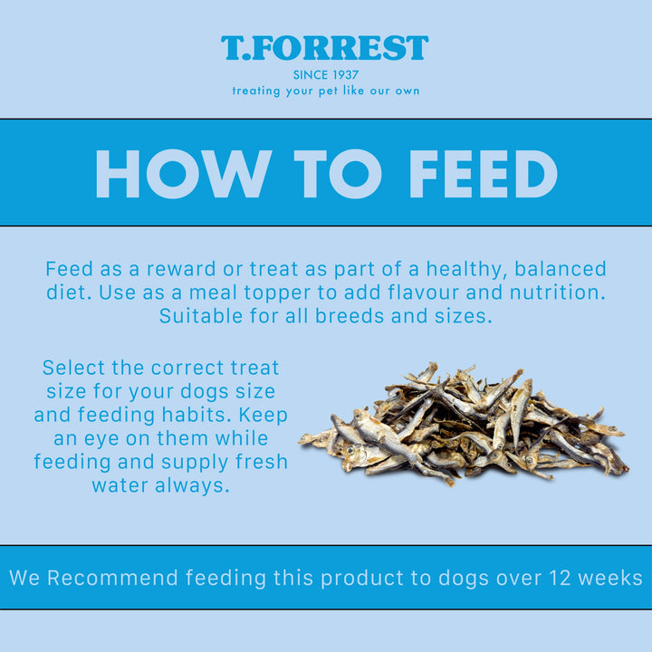 How to feed your dog sprats