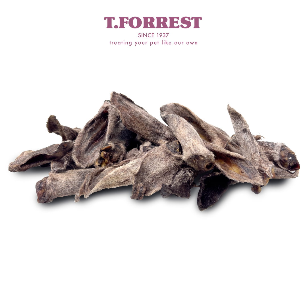 Lamb Ears Bulk
